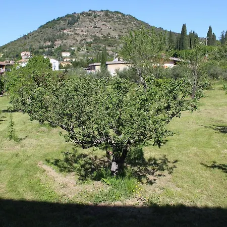Hotel Des Oliviers